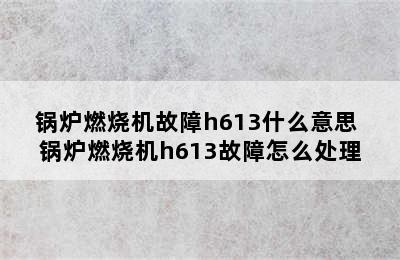 锅炉燃烧机故障h613什么意思 锅炉燃烧机h613故障怎么处理